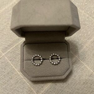 Elegant Circle Earrings